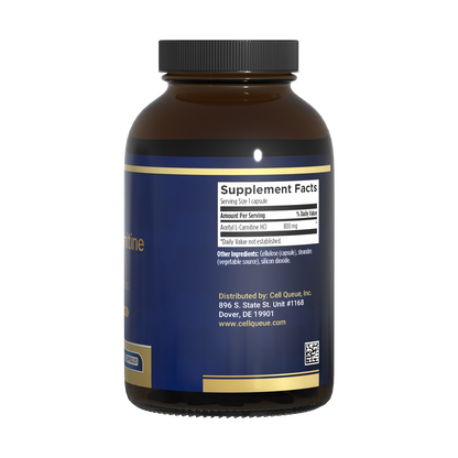 Acetyl-L-Carnitine  Energizing Brain Support